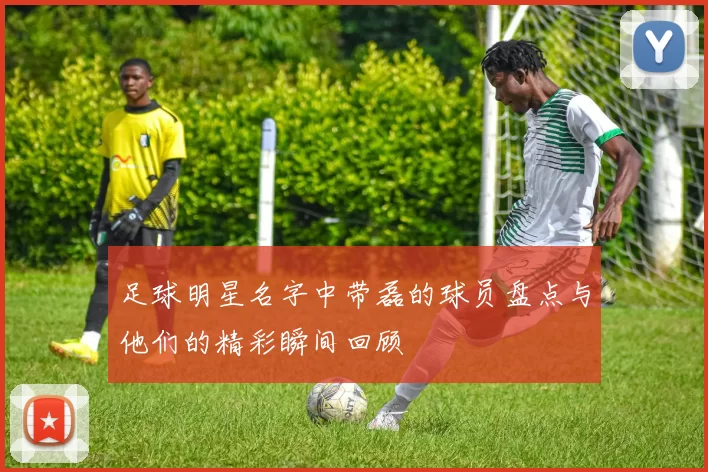 足球明星名字中带磊的球员盘点与他们的精彩瞬间回顾