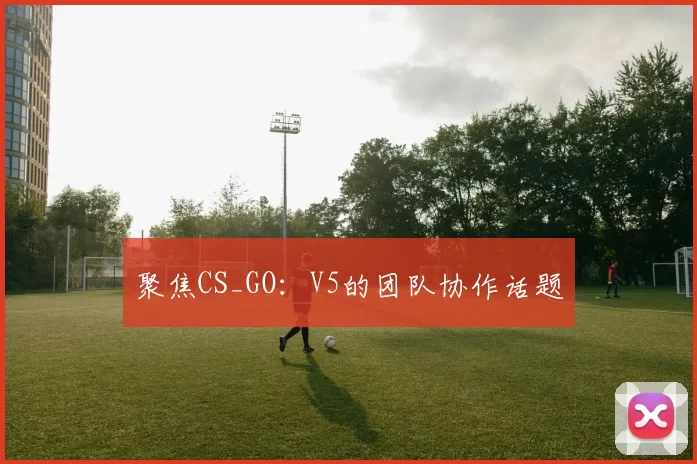 聚焦CS_GO：V5的团队协作话题