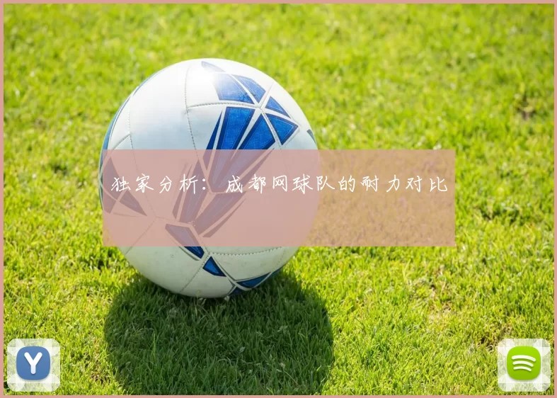 独家分析：成都网球队的耐力对比