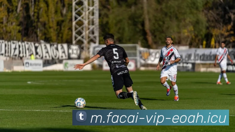 App Interface Preview